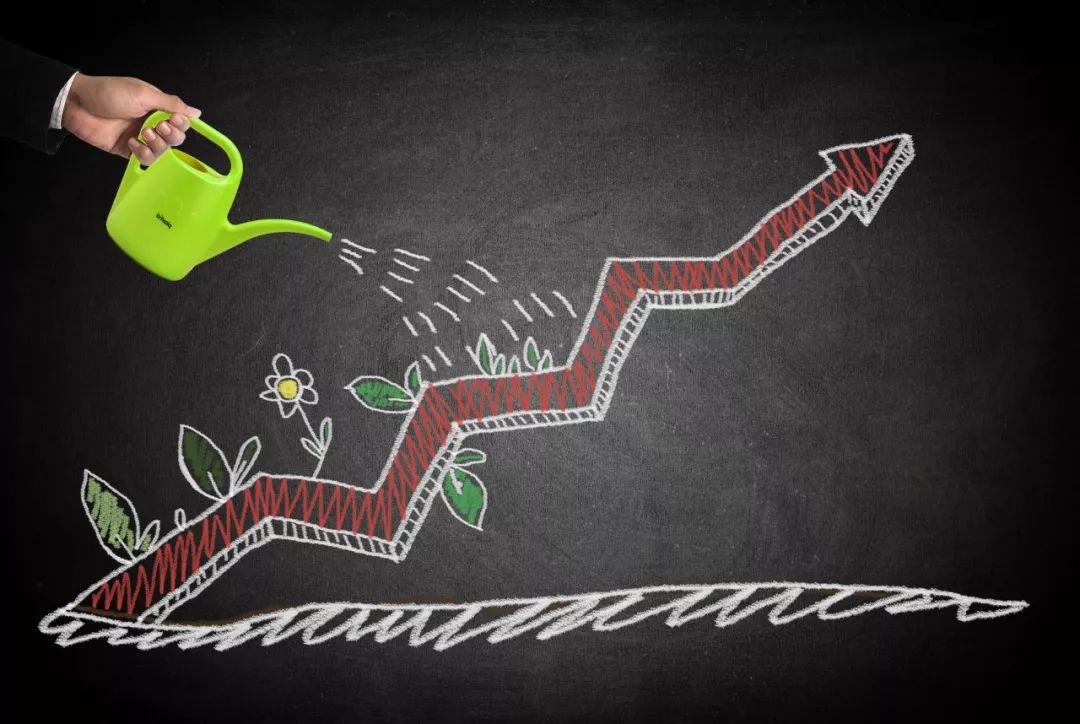 饵料|课虫：为什么非要去没有流量的流量池里面去找流量？