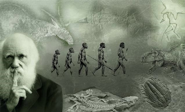 从科学专业角度剖析进化论的荒谬,将之按在地上猛烈地摩擦
