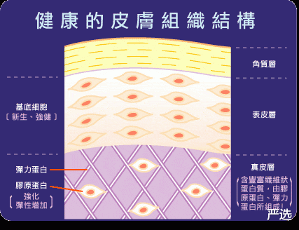 护肤品 水、乳、霜、精华的正确护肤顺序，涂反了不仅“无效”还“伤脸”