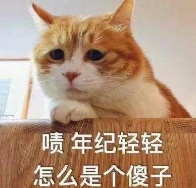 冷月恋爱顾问 6个聊天案例，教你挑逗女人心！