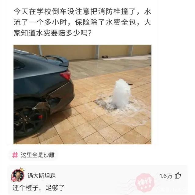  倒车没注意把消防栓撞了，水流了一个多小时，保险除了水费全包，大家知道水费要赔多少吗