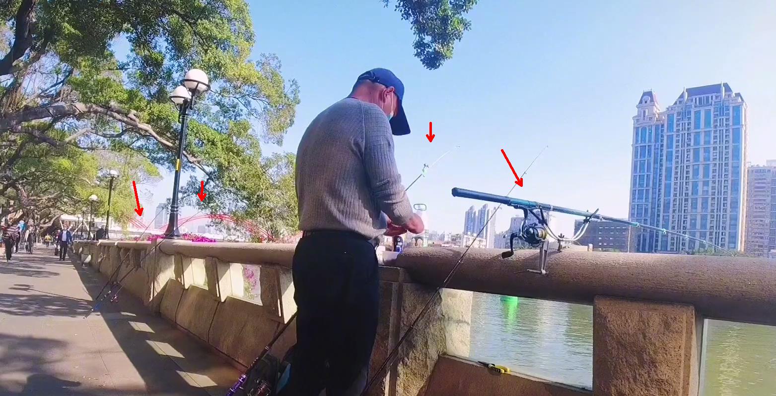 珠江|实拍广州珠江边的职业钓鱼人，一条大鱼卖50元，有人一天挣四五百