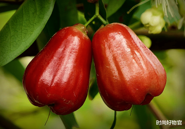 时尚好物官|女人“绝经”后，建议：常吃4种水果，贵也吃，+1运动补充雌激素