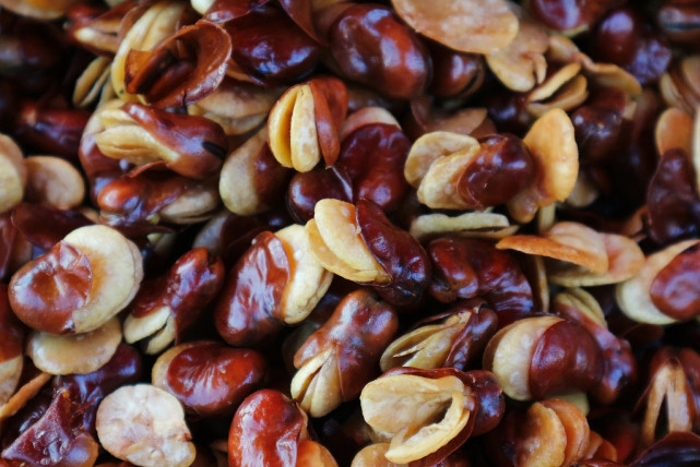 黄芪|这8种蔬菜要少吃,为了身体健康,建议日常减少食用量