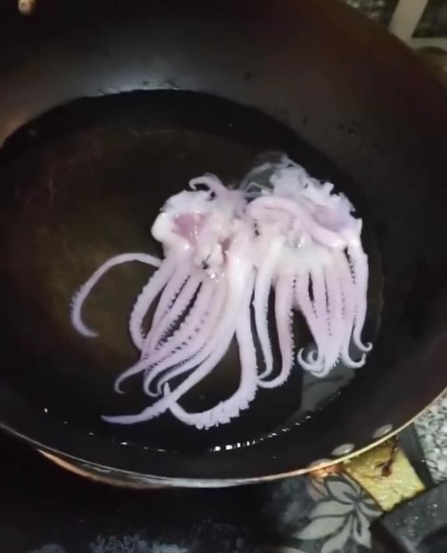 奶豆育儿 女子买鱿鱼泡发焯水后“消失”，专家解释遭群嘈，记得人造鸡蛋吗