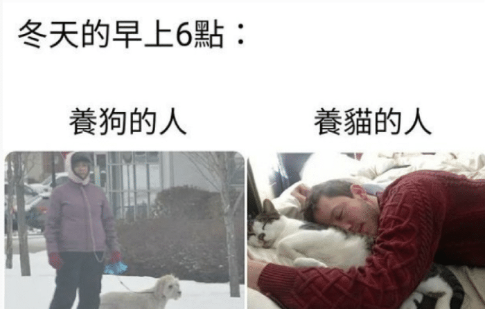小叶娱记 “姑娘还是换件衣服逛街吧，穿成这个样子太吸引眼球了吧？”