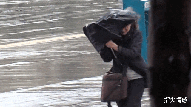 时尚好物官 薇娅\＂懒人伞\＂一夜爆红，40度出门不怕晒，网友：防晒霜可以扔了