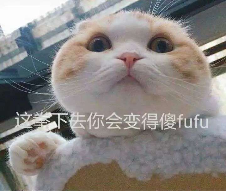 冷月恋爱顾问 在女生的眼里，男生的这3种表现直接负分出局