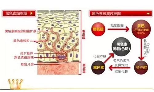 好物官 6年前打美白针成“白灯泡”的女人，现在啥样，网友：还好没跟风