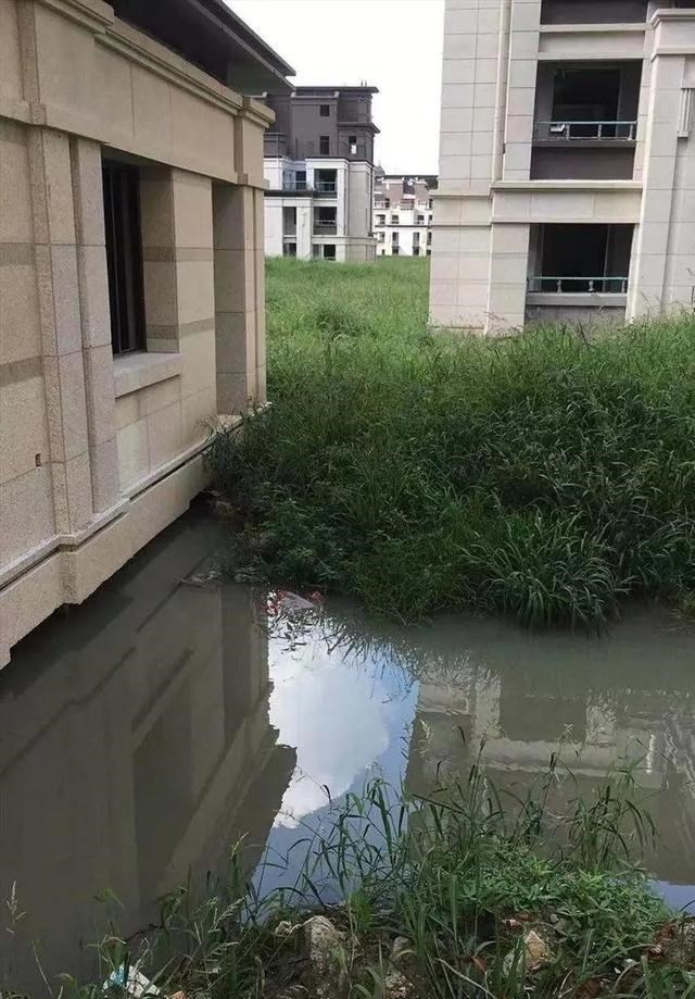购房置业|一生的痛！宁波一男子艰苦多年在杭州湾买房，等来的却是无家可归