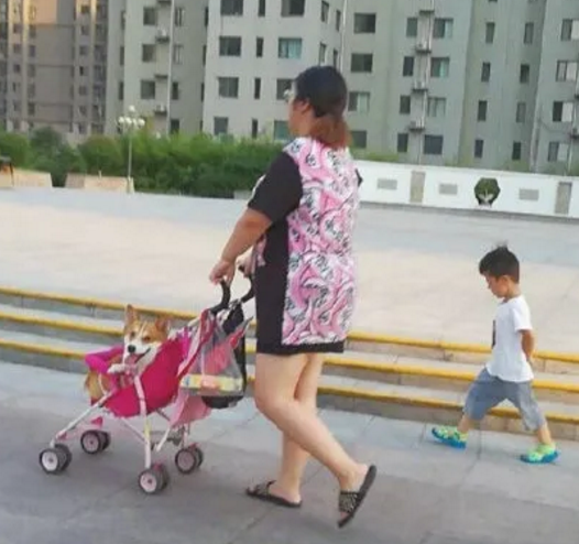 |“我需要把这套户型卖出去，该怎么介绍？”