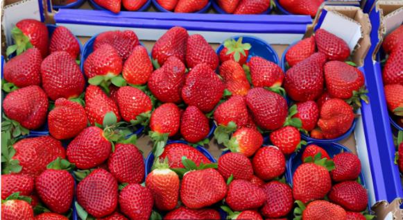 紫薯|肝病科主任：多做2件事，肝脏从“硬”到“软”并不难