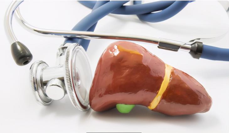 紫薯|肝病科主任：多做2件事，肝脏从“硬”到“软”并不难