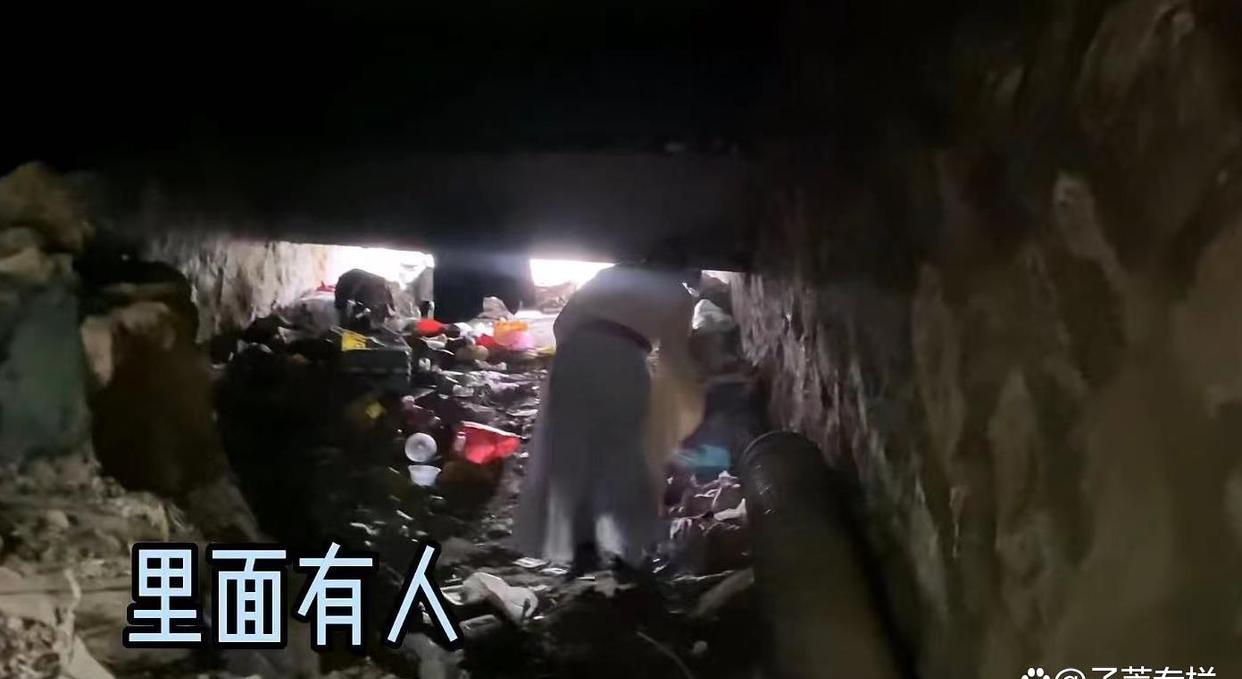 “桥洞大神”:不工作不交房租一天能睡18小时,冬暖夏凉不愿离开