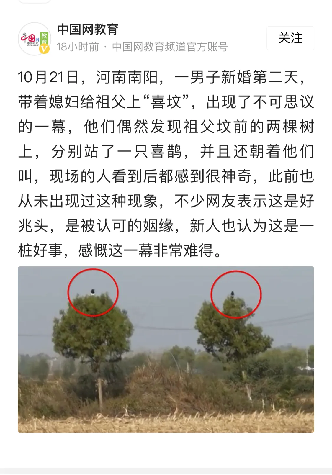 近日,河南南阳,一小伙在新婚第二天,就带着媳妇去给祖父上“喜坟”