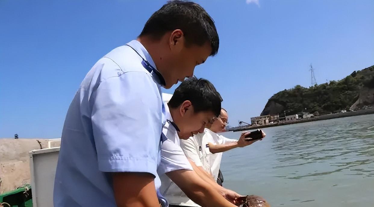 浙江温岭现身一只4眼物种，血液为蓝色，存在恐龙时代之前