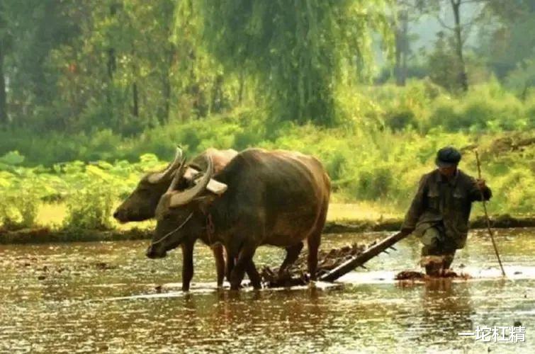 2022年,普通人面对疫情如何生活的更好?