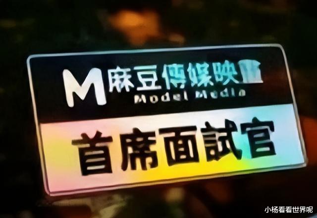 麻豆传媒团队女主涉黄被抓,盈利500余万元,播放400余万次
