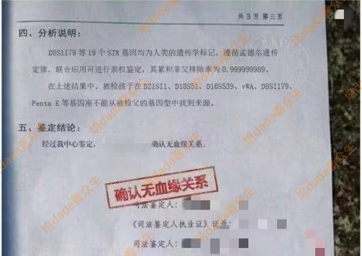 男子酒吧邂逅爱情后闪婚，亲子鉴定如同晴天霹雳，绝望下剃度出家
