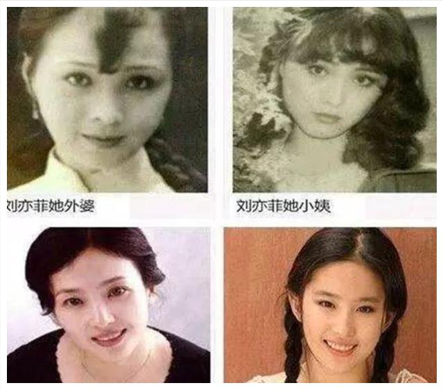 刘亦菲|刷新了我对“天仙”的认知