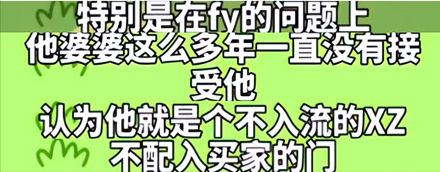 张嘉倪|张嘉倪“婚变”后续：和买超谈判失败，婆婆紧抓两孙子抚养权不放