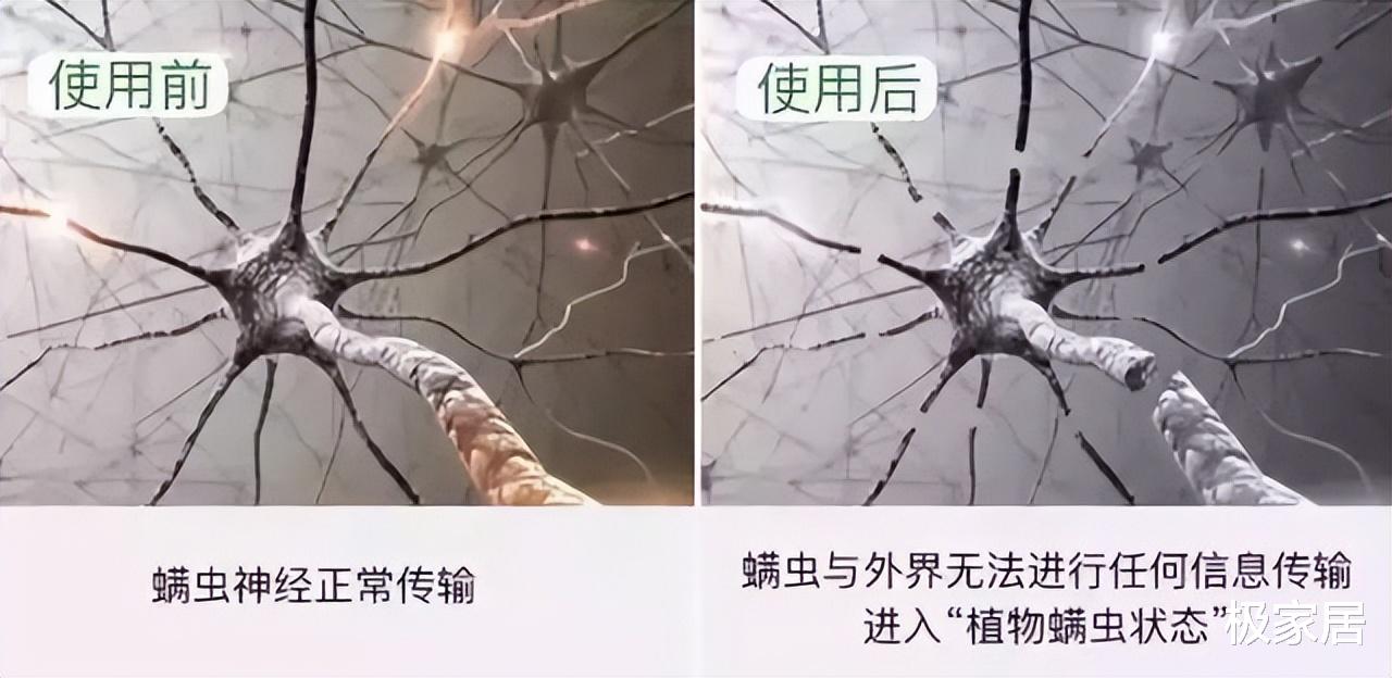 床垫上的“薄膜”要不要撕掉？多亏家具老板提醒，难怪床上螨虫多