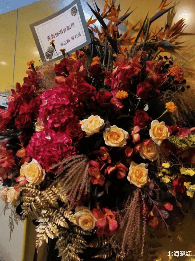 罗志祥|罗志祥回归主持行业事业回春,此前已在大陆录综艺,对接影视项目