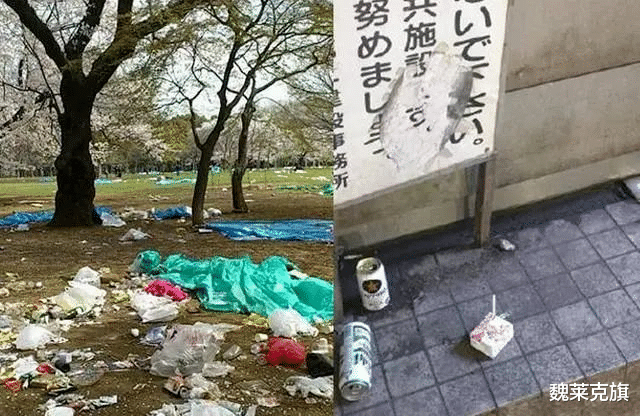 荷花|失去中国游客后，那些“不欢迎中国游客”的地方现在如何？