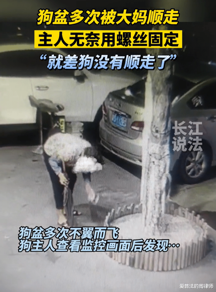 狗盆多次被大妈顺走,主任无奈用螺丝钉固定,网友:大妈已违法!