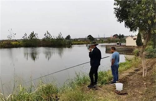 案例:偷鱼贼命丧鱼塘,鱼塘主被告上法庭,家属:判刑!赔50万!