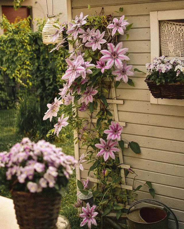 波兰女主晒出自己的家:复古+暗黑,普通家具搭配出高颜值,美爆