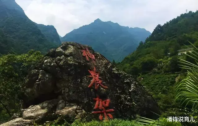 1974年“鸡冠龙”被当作怪蛇打死,专家:痛失解开了千古之谜的机会