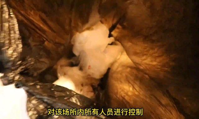 不堪入目!滁州经开警方突击涉黄窝点,多名失足女被抓