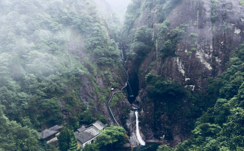 香港|香港海洋公园到电视当中出现的频率特别高，作为国内门票比较昂贵的游乐园