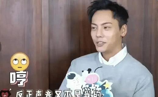 配音|娱乐圈七位“哑巴”演员,演戏全靠配音对嘴,有的甚至从未用过原声