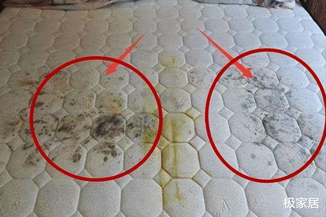 床垫上的“薄膜”要不要撕掉？多亏家具老板提醒，难怪床上螨虫多