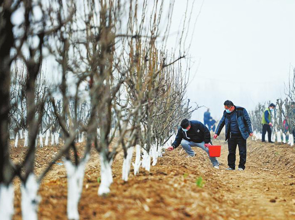 山东一7旬残疾老汉荒山种树80万棵，曾被登报表扬，16年后竟被逮捕了