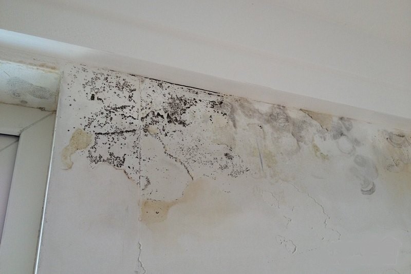 为什么越来越多的年轻人入住毛坯房？不仅为省钱，住过就知道有多爽