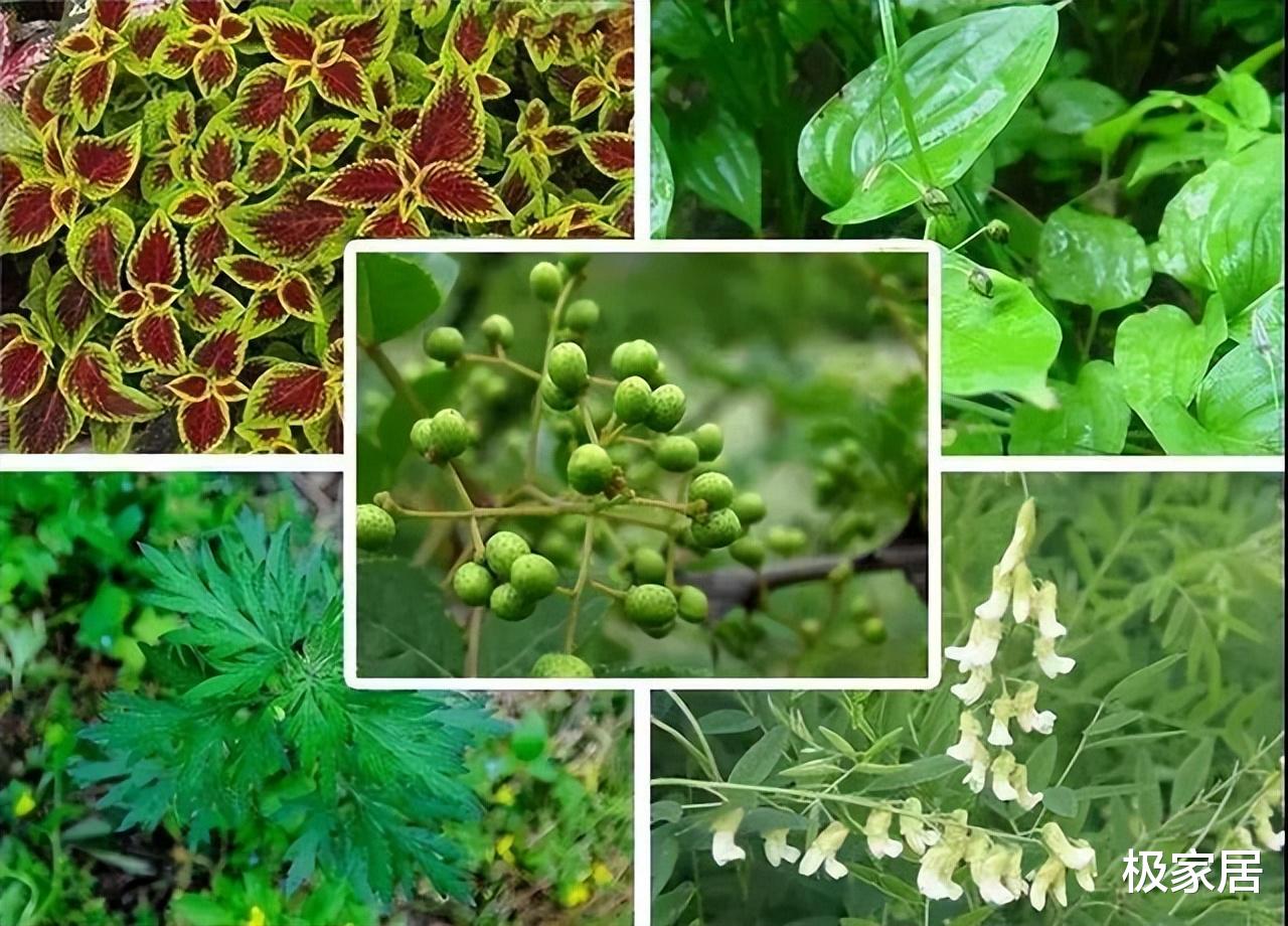 床垫上的“薄膜”要不要撕掉？多亏家具老板提醒，难怪床上螨虫多