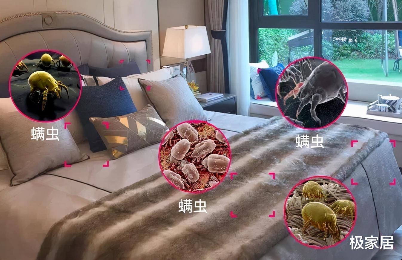 床垫上的“薄膜”要不要撕掉？多亏家具老板提醒，难怪床上螨虫多
