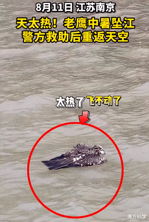 重庆地表最高温81℃江苏72℃!地球怎么了?人类最担心的或将发生