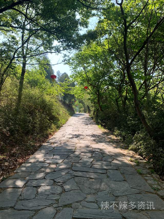 云南|遭遇重创 五一假期5A级旅游景区竟空无一人