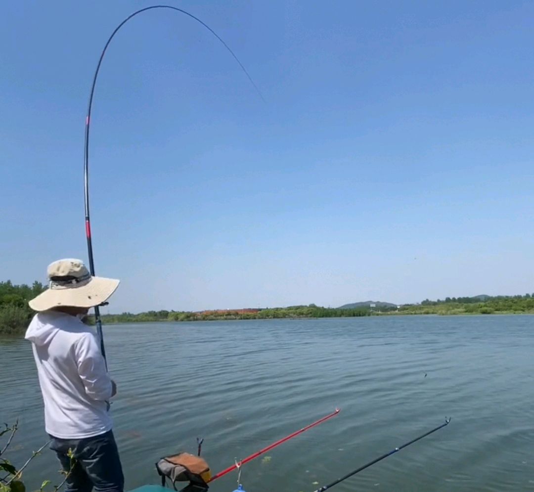 苏州河钓鱼图片