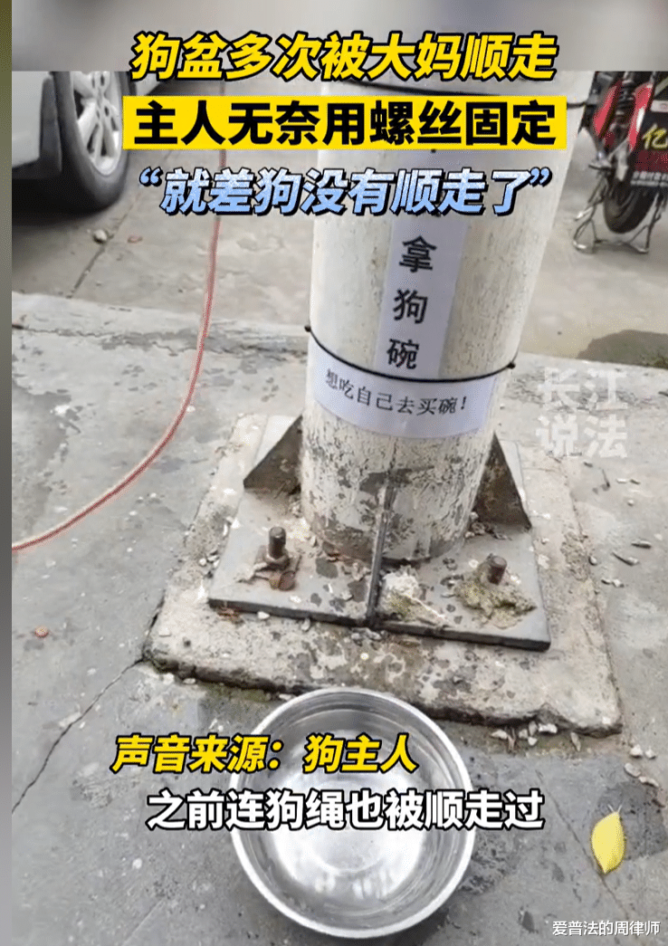 狗盆多次被大妈顺走,主任无奈用螺丝钉固定,网友:大妈已违法!