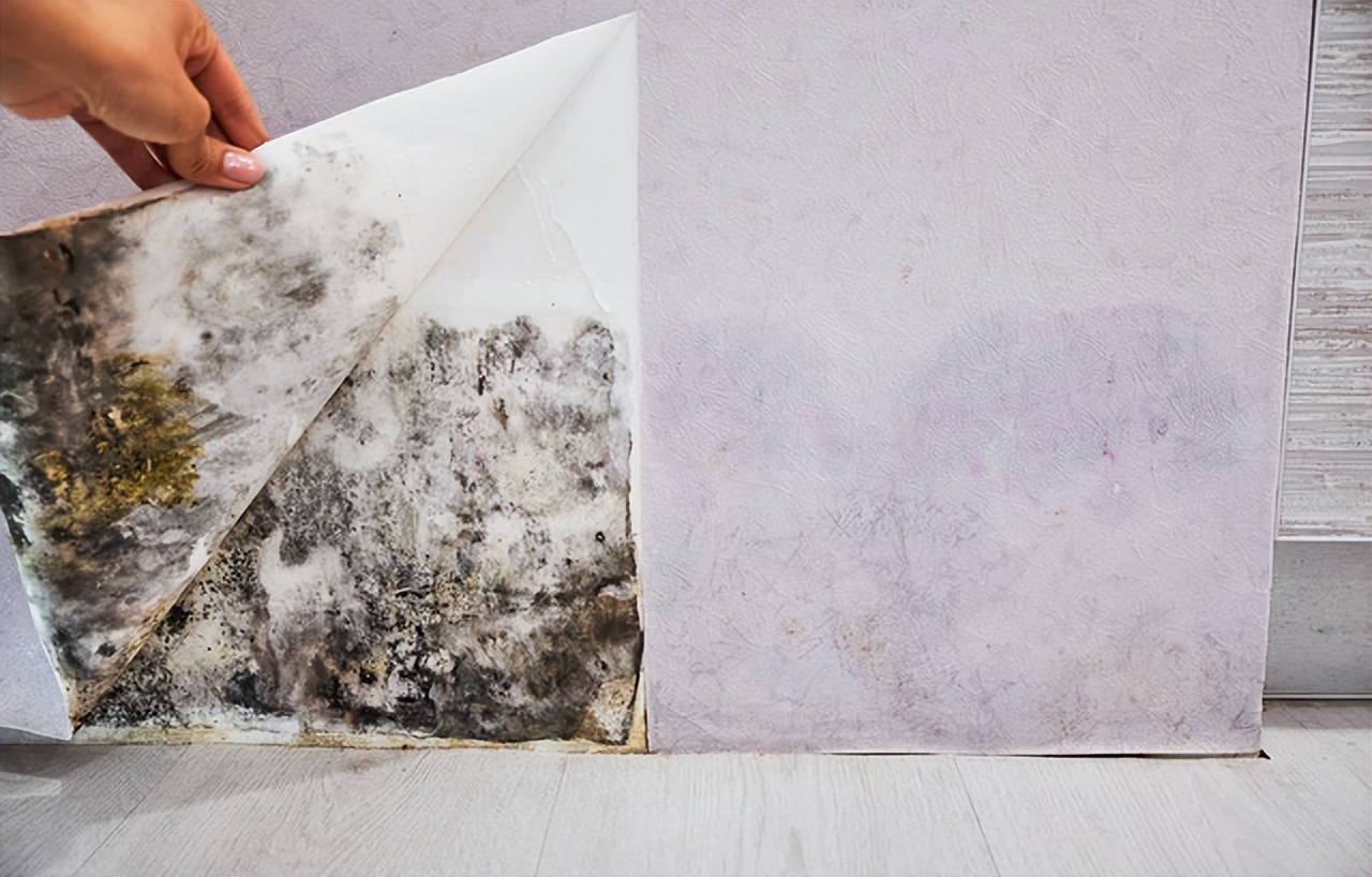 为什么越来越多的年轻人入住毛坯房？不仅为省钱，住过就知道有多爽