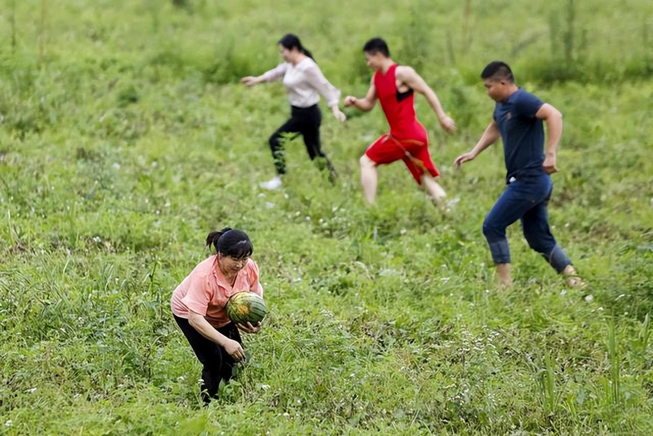 湖北:3名妇女拿麻袋,在瓜田中进行摘瓜比赛,偷55个瓜被抓现行