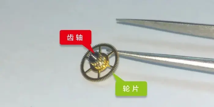 机械表的工作原理解析(图6) 机械表的工作原理解析(图6)