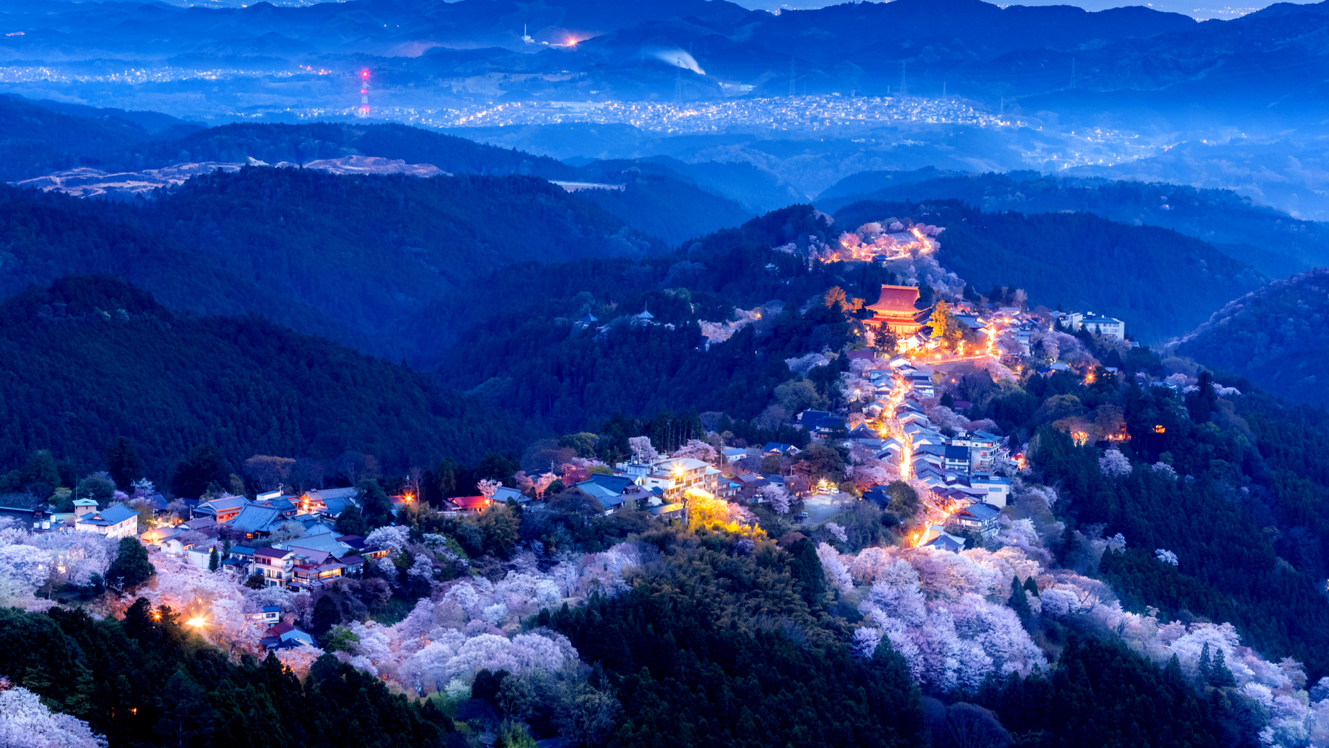 成都|春天花季的浪漫，日本赏樱尽在吉野