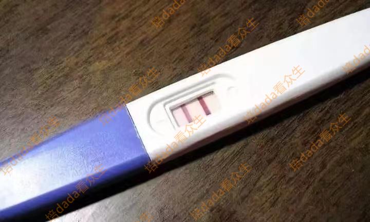 男子酒吧邂逅爱情后闪婚，亲子鉴定如同晴天霹雳，绝望下剃度出家