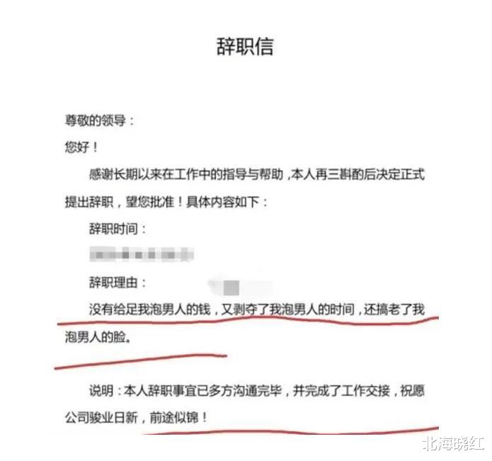 求职|女程序员辞职信走红，每句都“话中带刺”，怼得老板无法反驳
